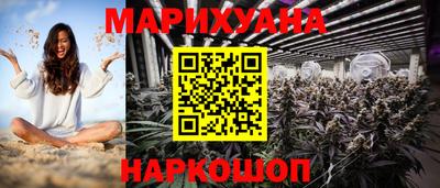 молекула духа Шелехов