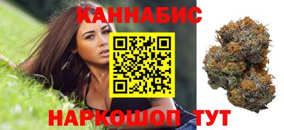 молекула духа Шелехов