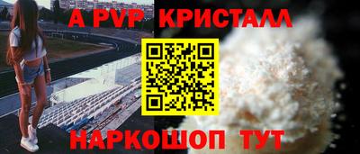 молекула духа Шелехов