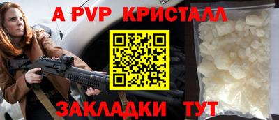молекула духа Шелехов