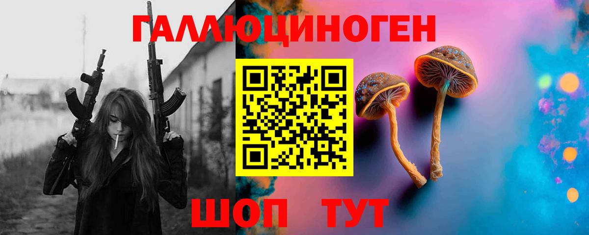 Псилоцибиновые грибы MAGIC MUSHROOMS Верхняя Пышма